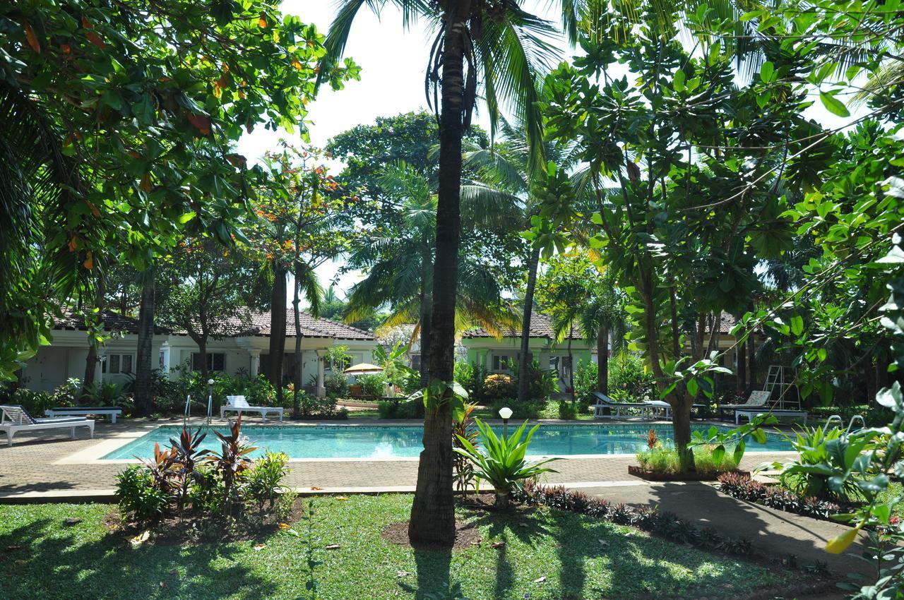 Villa La Casita กาเวลอสซิม ภายนอก รูปภาพ